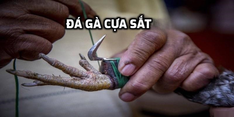 da-ga-cua-sat-1